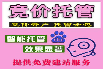深入了解SEM代运营服务公司的策略与技巧